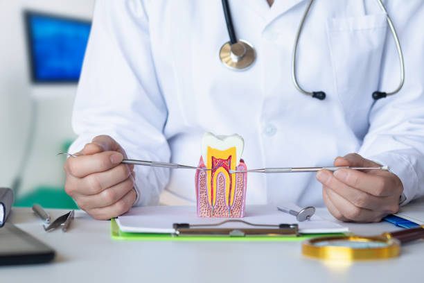 Best Holiday Emergency Dentist in Monrovia, IN